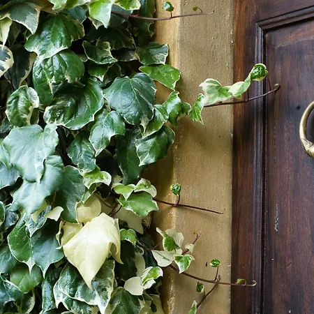 Pini Balbiani Апартаменты