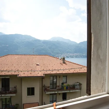 Pini Balbiani * Льерна