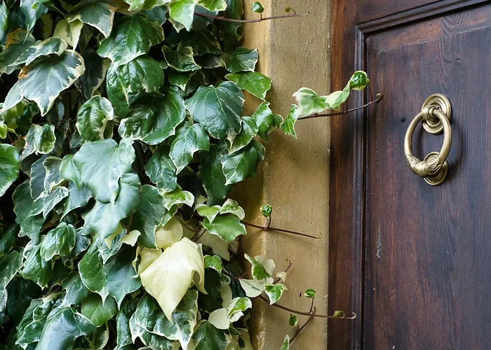 Pini Balbiani דירה