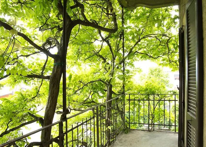 Pini Balbiani דירה ליירנה