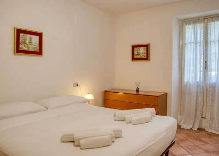 Pini Balbiani ליירנה