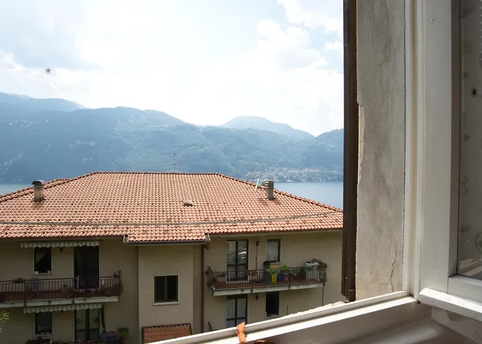 Pini Balbiani * ליירנה