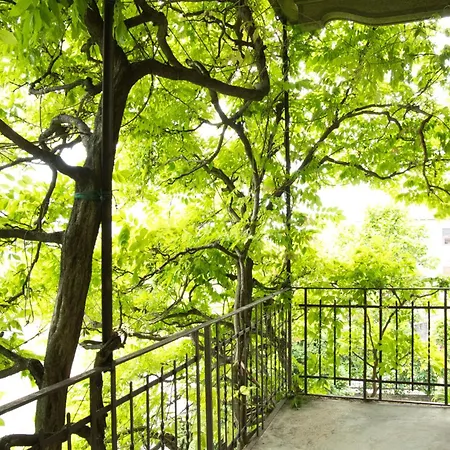 Pini Balbiani Daire Lierna