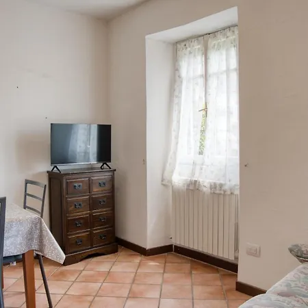 Daire Pini Balbiani *