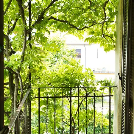 Pini Balbiani Daire Lierna